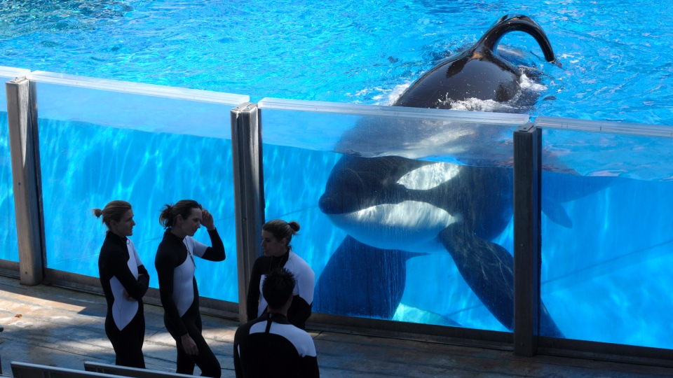 SeaWorld - trainers.jpg